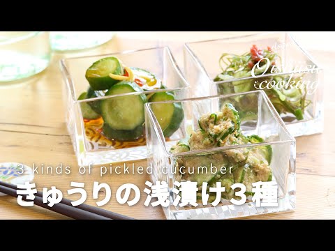 【おつまみレシピ】きゅうりの浅漬けの作り方│料理研究家:麻生怜菜