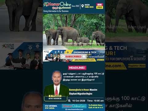 100 Wild Elephants to Migrate from Bannerghatta to Hosur: Urgent Warning Issued to Local Farmers