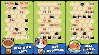 Cute Puzzle: Hex Cat Gameplay