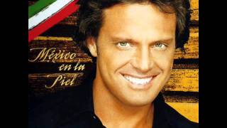 luis miguel - motivos