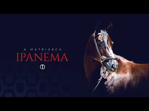 A Matriarca - Ipanema do Morro Agudo - Leilão Elite Ipanema Precioso - Jockey Club de São Paulo 