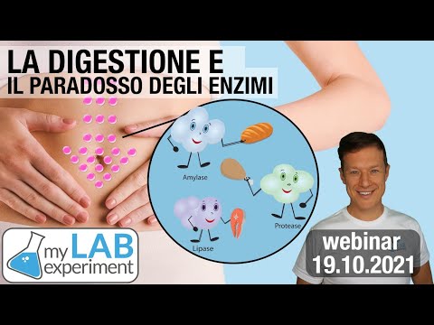 La DIGESTIONE e il Paradosso degli Enzimi