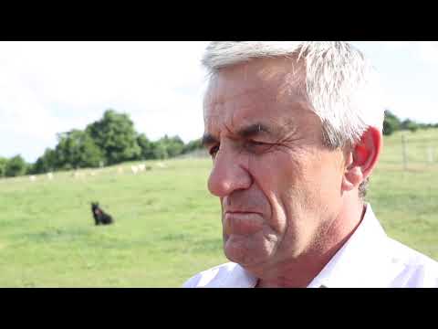 AFINET - A revitalization of a wood pasture in the Bakony