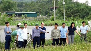 Lãnh đạo phường Yên Sơn thăm các mô hình sản xuất phát triển kinh tế nông nghiệp trên địa bàn phường
