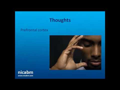 Empathy and Brain Plasticity with Rick Hanson