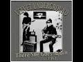 Velvet Underground - There She Goes Again (1967)