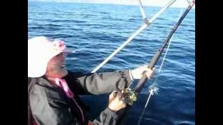 preview picture of video 'Fishing Loreto 2012.wmv'