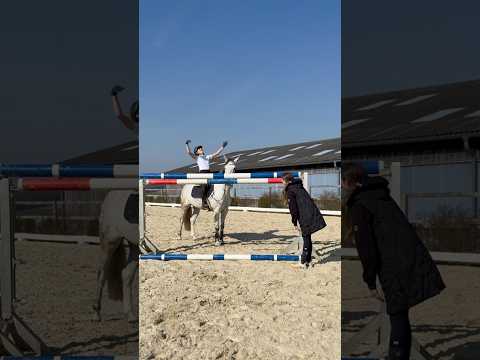 Wo ist bei euch Ende in der Höhe?🥰😂🫣 #springen #funny #explore #horses