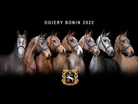 Ogiery Bonin 2022