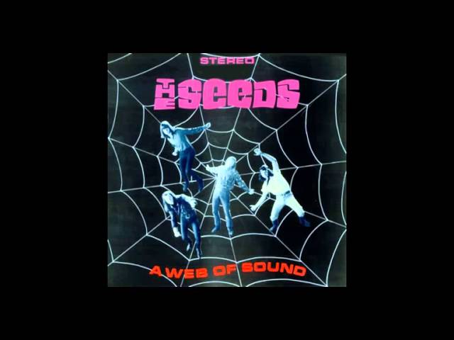 The Seeds — The Seeds / A Web of Sound