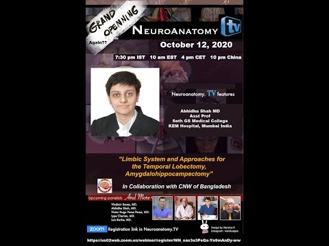 Limbic System and Approaches for the Temporal Lobectomy, Amygdalohippocampectomy