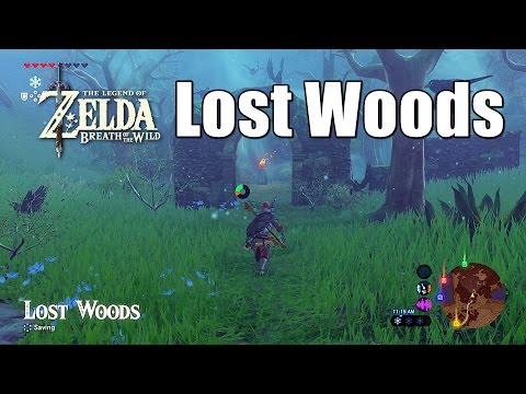 How to get through the Lost Woods in Zelda Breath of the Wild