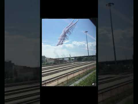 What's happening with Trevor Henderson creatures