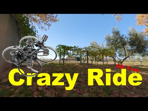 Crazy Ride: High-Speed FPV Drone Adventure