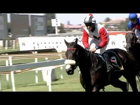 CELESTIAL LOVE - 2021 WORLD SPORTS BETTING MAN O' WAR SPRINT (Grade 3)