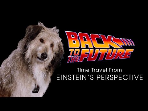 Einstein's Perspective: Time Travel at the Twin Pine's Mall (Back to the Future)