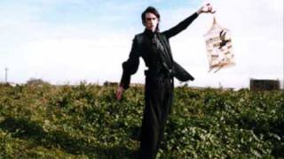 Patrick Wolf - Idumea/Wind In The Wires (Medley)
