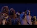 The Animals Were Found By The Dog And The Hostess Attacked The Animals