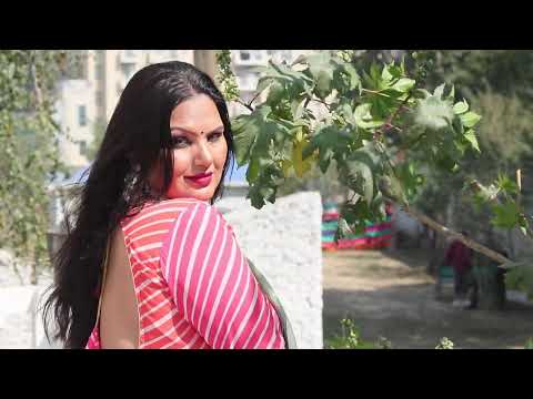 Malika – Indian Curvy Model in Rose Blouse & Chiffon Saree | Saree Diva