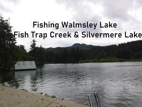 Fishing Walmsley Lake, Fish Trap Creek &amp; Silvermere Lake