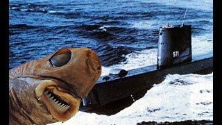 How a Little Shark Destroyed the US Navy