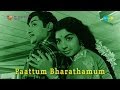 Paattum Bharathamum Karpanaikku Song