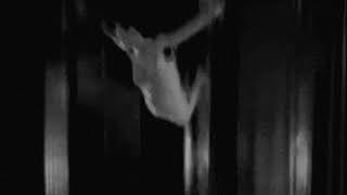 L'Âme Immortelle - No Goodbye