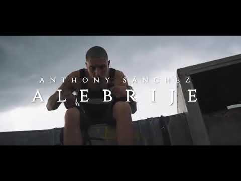 Alebrije \\ Video Oficial \\ Anthony Sánchez