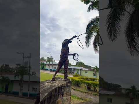 Homenaje a los ganaderos del municipio de Alpujarra Tolima #sorts #ganaderia
