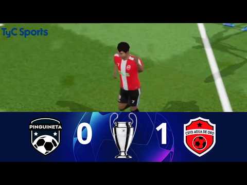Pinguineta 0-1 Agua de Oro Gol de Son y Agua de Oro vence a los pinguinos de visitante!