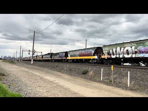 Pacific National G539 X48 BL32 9711v grain train Tottenham