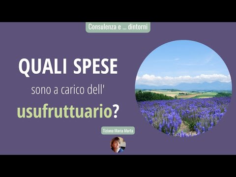 Nuda proprietà ed Usufrutto: come si ripartiscono le spese