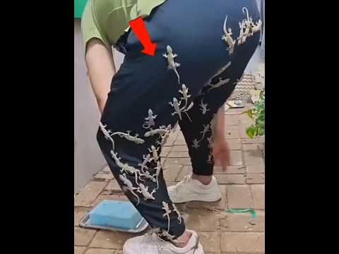 Some such useful tips 😲 #youtubeshorts #ytshorts #tips #shortsfeed #shorts