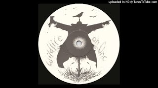 Holy Ghost Inc. - Wildlife, On One