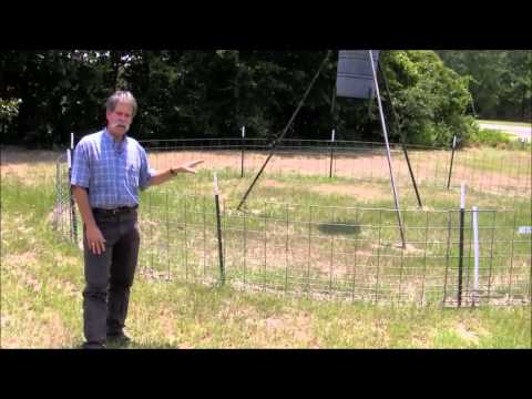 Exclusion Fencing for Feral Hogs Around Wildlife Feeders