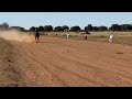 Namibia horse racing