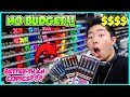 NO BUDGET AT MICHAELS ART STORE SHOPPING SPREE!! (Starving Artist Clears the Store)