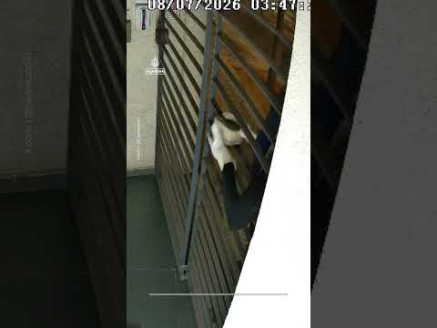 Masked man attacks Haaretz newspaper office in Tel Aviv | #AJ shorts