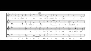 William Byrd - Reges Tharsis a 4