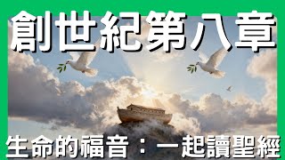 一起讀聖經│創世記第八章—神記念挪亞：從洪水到新起頭