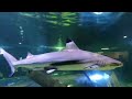 Hastings Aquarium