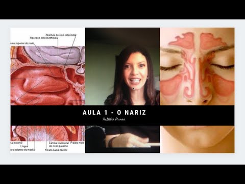 Lesson 1 of Voice Physiology - The Nose