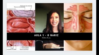 Aula 1 de Fisiologia da Voz - O Nariz