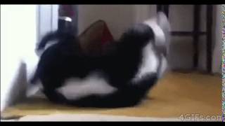 Sup Gif