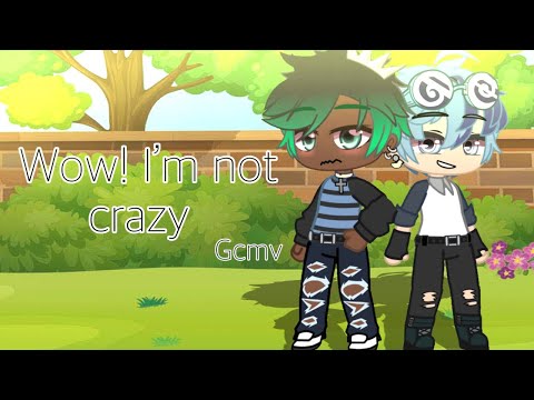 『Wow! I’m not crazy』/gcmv/ 《No Friends Part 2》song by: AJR