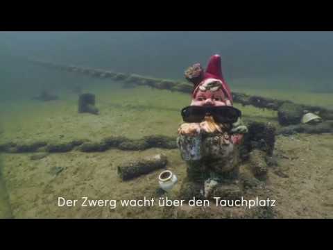 Tauchgang am WZT - Juni 2019