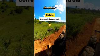 Agora seis pensa em um búfalo bravo viu. #motoniveladora #bufalo #shorts