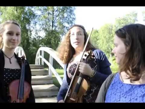 Ethno Sweden Exchange 2014 — Germany