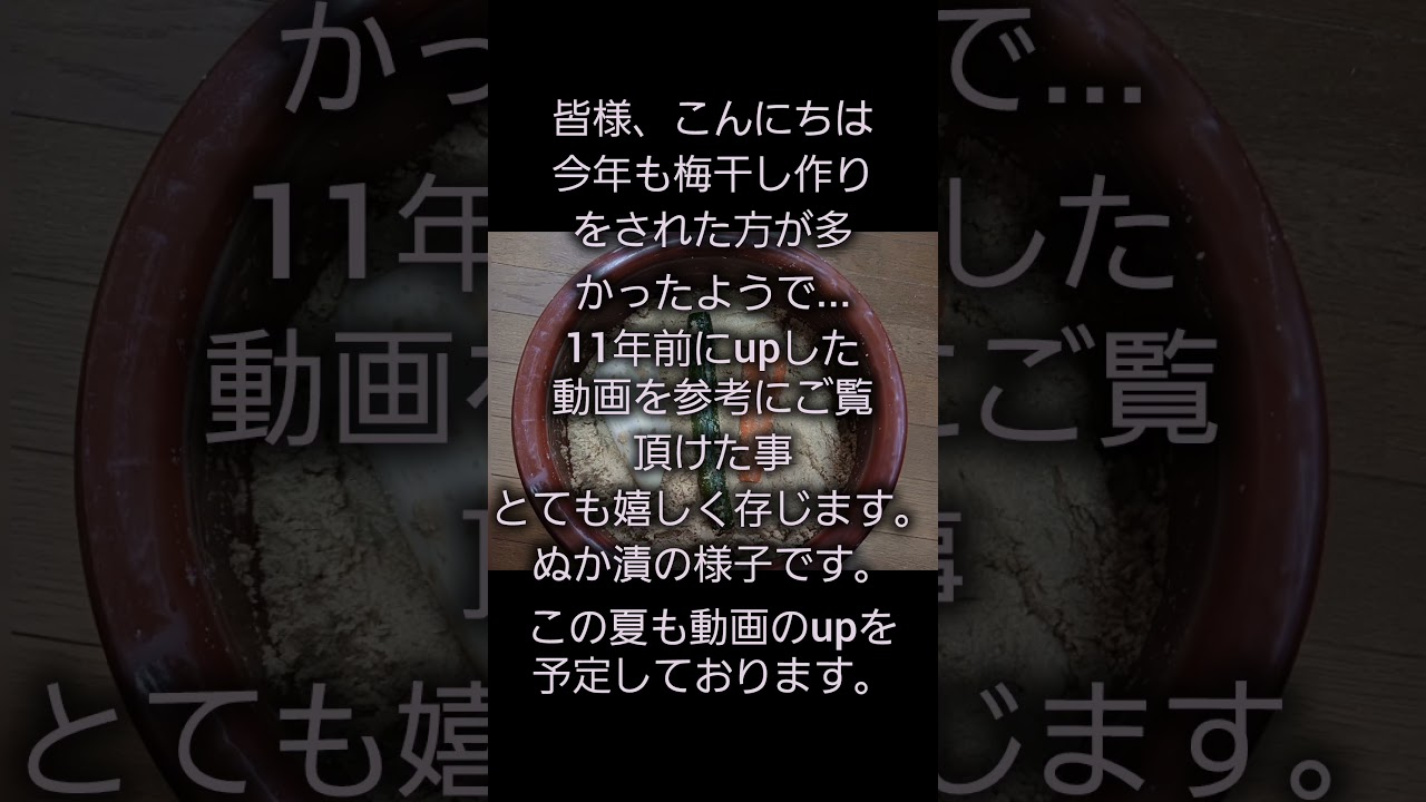 初のショート動画。