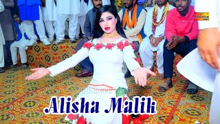 Haal Dil Da Sanona  Alisha Malik  New Dance 2020  